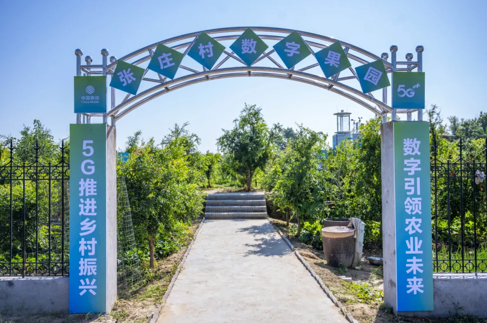 1772273112169487.jpg 张庄果园.jpg